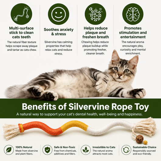 Dental Dangle | The Cat Rope