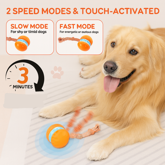 WagWobble Interactive Ball