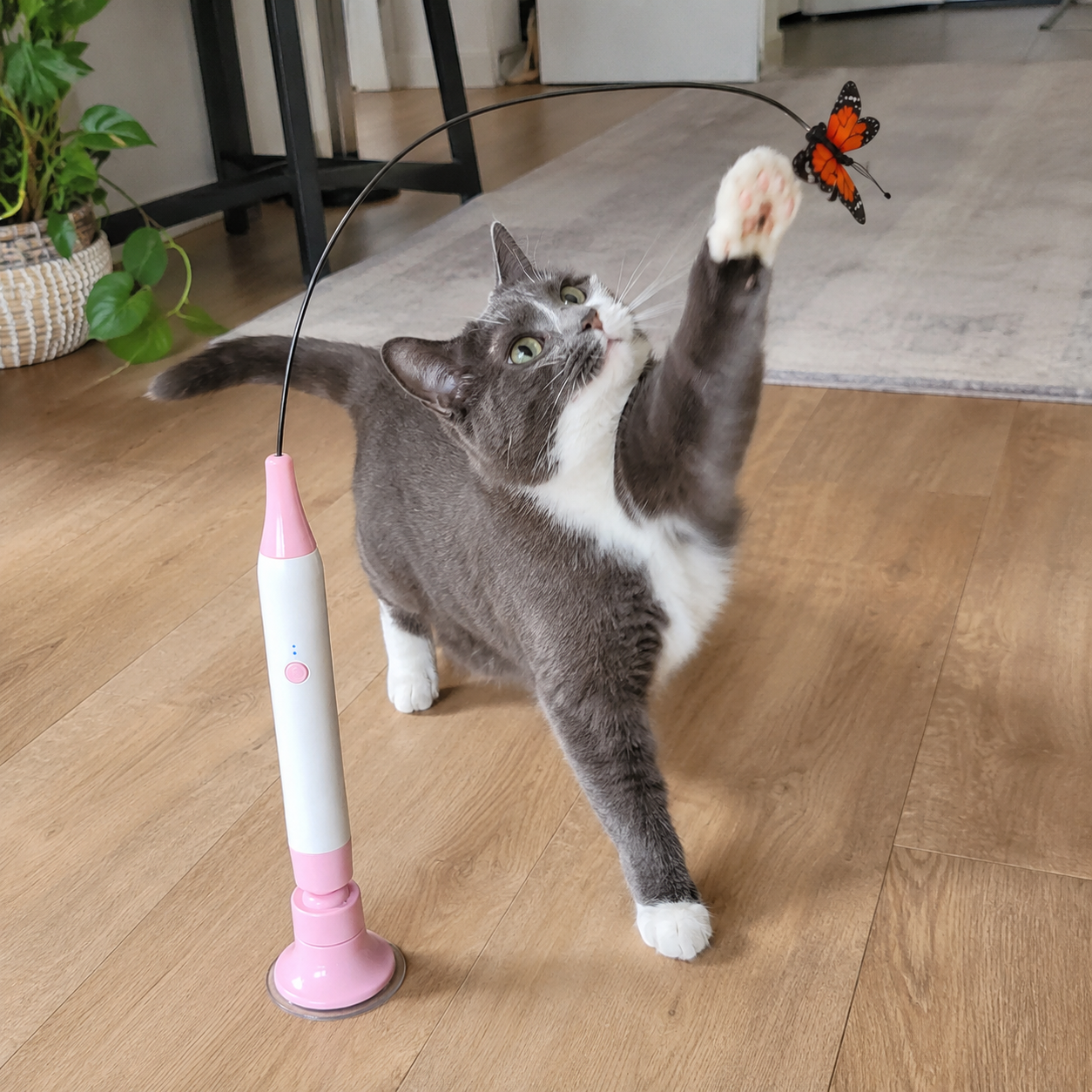 PurrSense |  Cat Toy