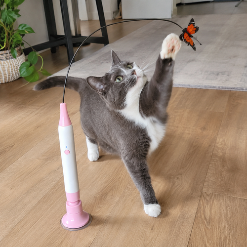 PurrSense |  Cat Toy