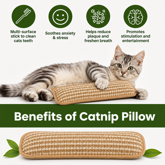 PurrScrub™ Catnip Pillow